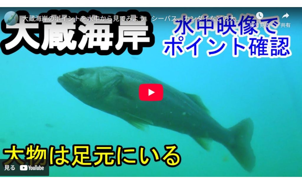 大蔵海岸のyoutube動画