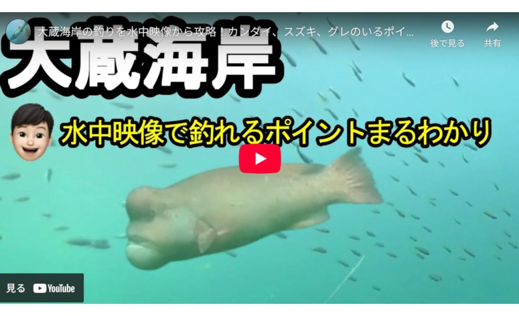 大蔵海岸のyoutube動画の水中映像編