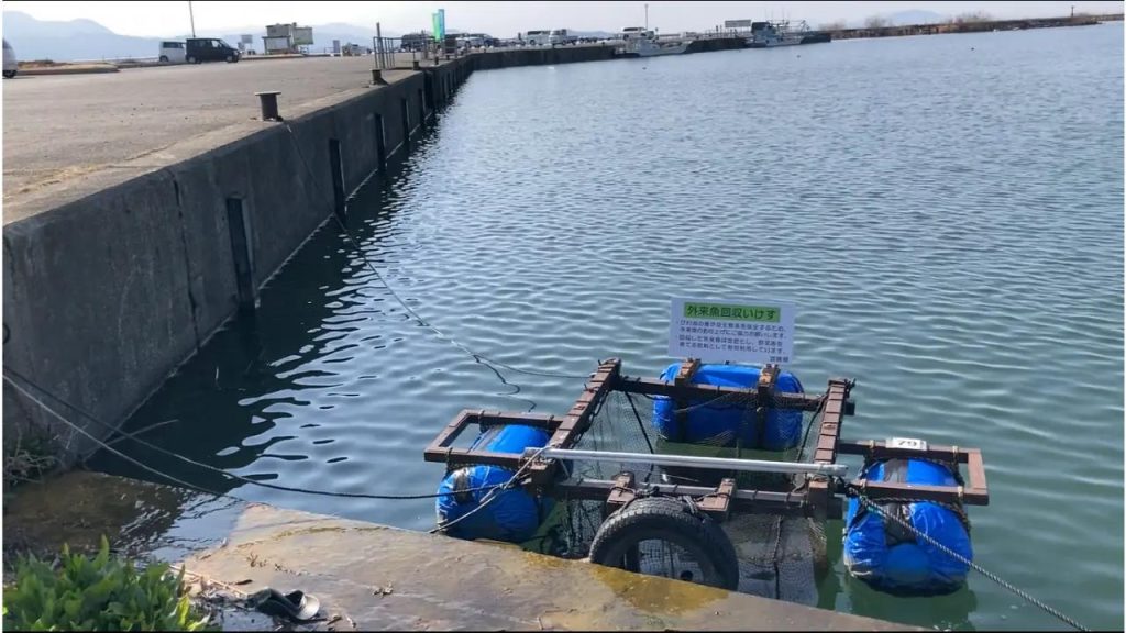 長浜港の駐車場前の港内のバス釣りポイント