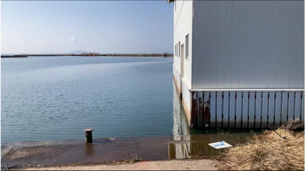 長浜港の水上小屋裏のバス釣りポイント