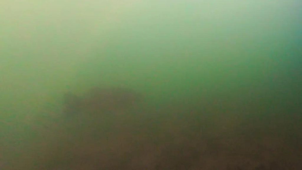 長浜港の駐車場前の港内のバス釣りポイントで撮影したビッグバス