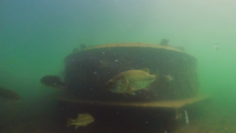 デカバスが多い今津浜取水塔 琵琶湖のボ ト釣りのポイントを水中映像を付けて紹介 水中映像から関西の釣り場を紹介