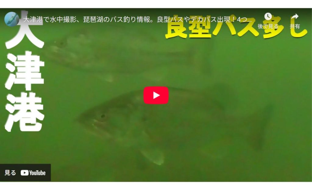 大津港のバス釣りポイントの釣り場紹介のyoutube動画