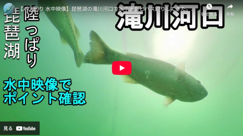 滝川河口のバス釣りポイントのyoutube動画