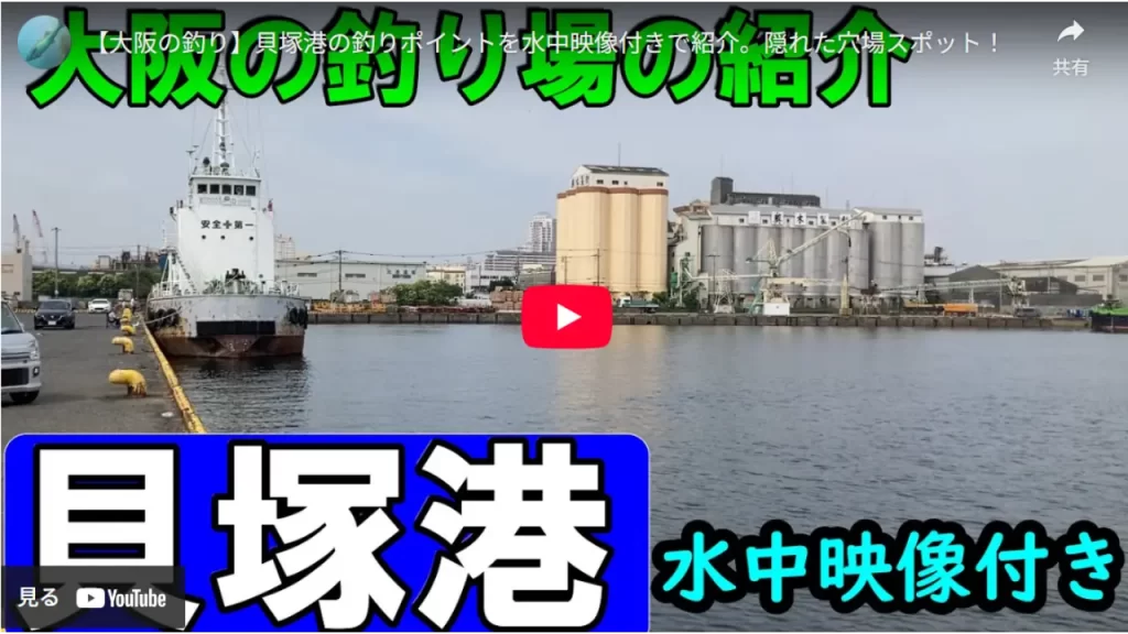 貝塚港の釣り場紹介のyoutube動画