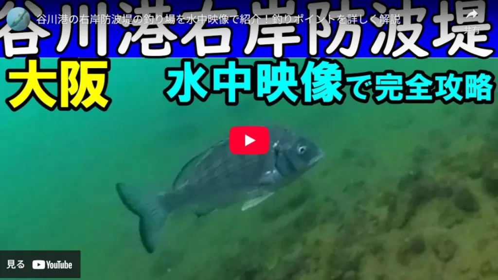 谷川港右岸防波堤のyoutube動画