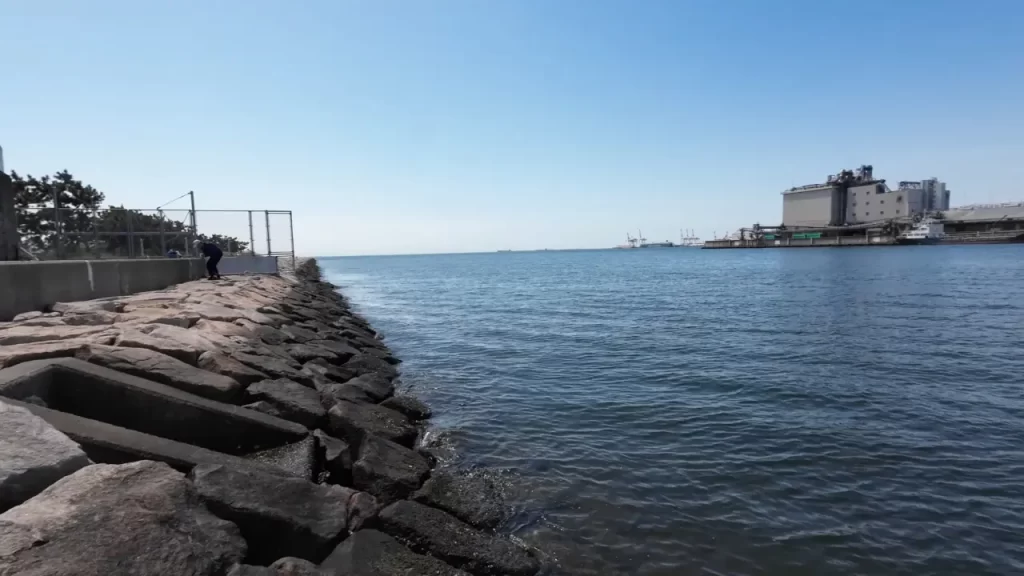 兵庫県芦屋市の南芦屋浜西護岸の釣りポイントの様子