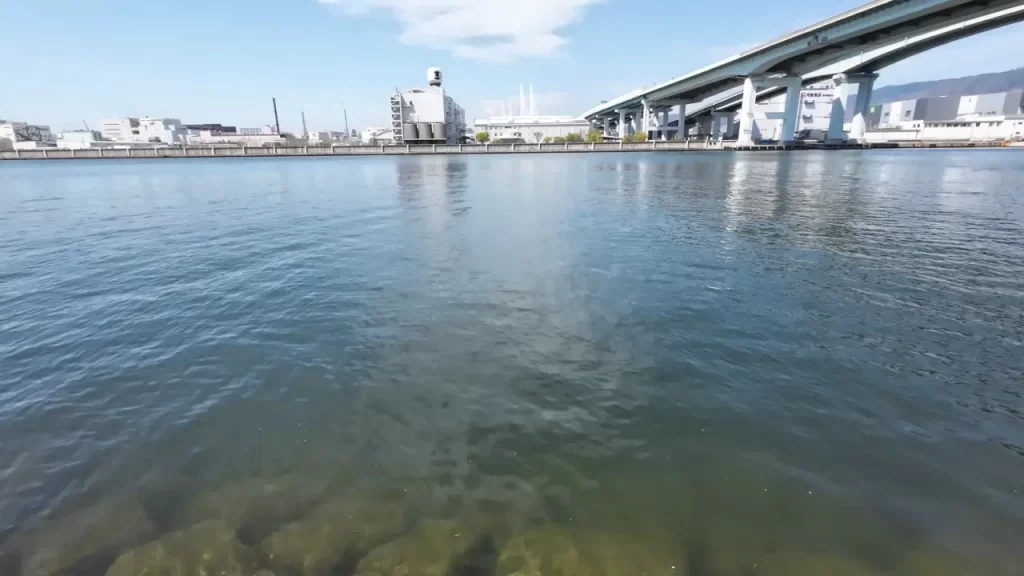 南芦屋浜西護岸湾岸線南の釣りポイントの対岸