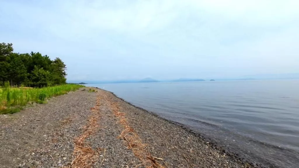 琵琶湖の安曇川北流河口40-90ｍラインのバス釣りのポイントの北側の浜