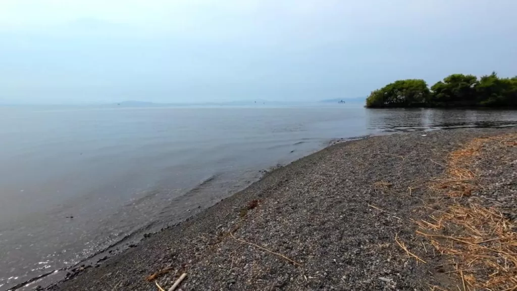 琵琶湖の安曇川北流河口20-50ｍラインのバス釣りのポイント