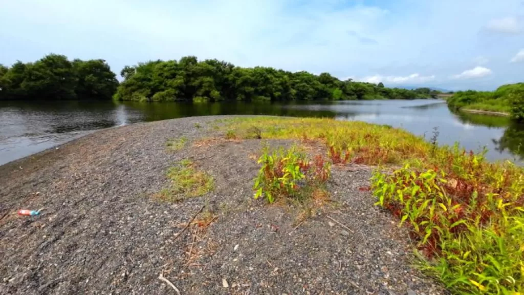 琵琶湖の安曇川北流の上流