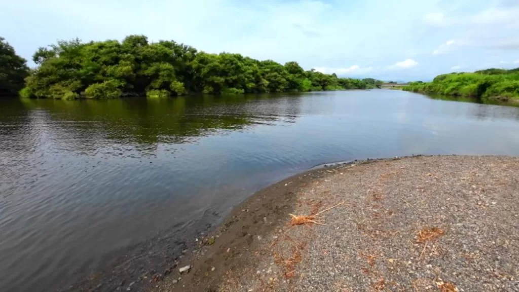 琵琶湖の安曇川北流河口のバス釣りのポイントの雰囲気