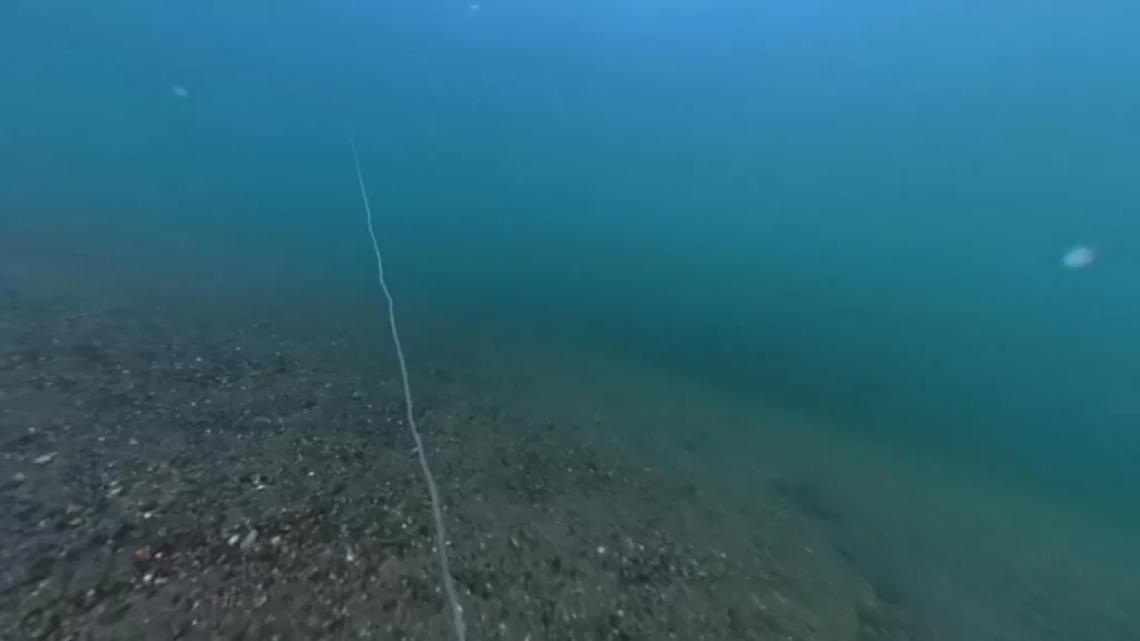 琵琶湖の安曇川北流河口20-50ｍラインのバス釣りのポイントの水中映像