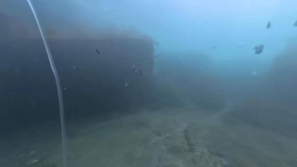 小間漁港の東防波堤の水中映像