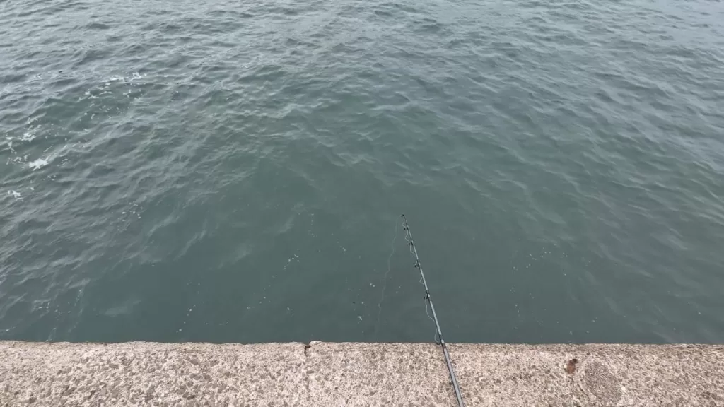 浅茂川漁港大波止のポイント①大波止先端の足元