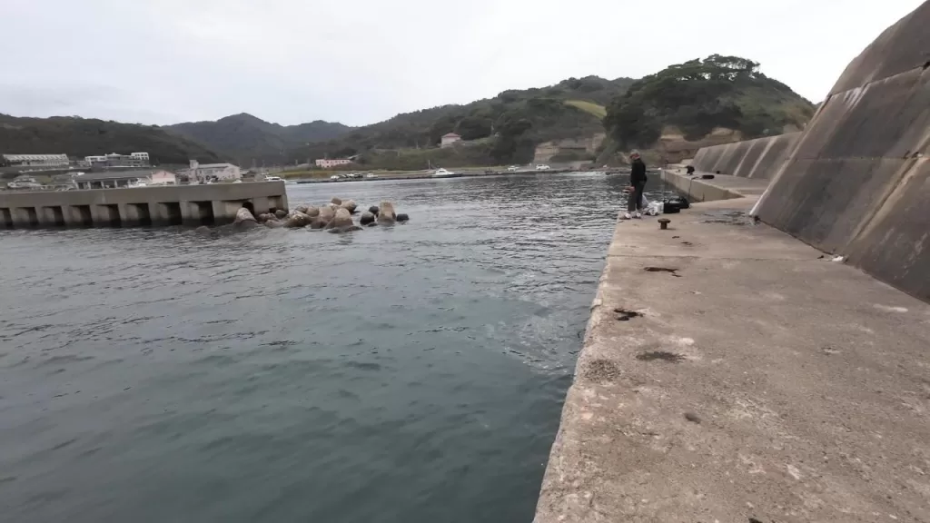 浅茂川漁港の大波止釣り場の様子