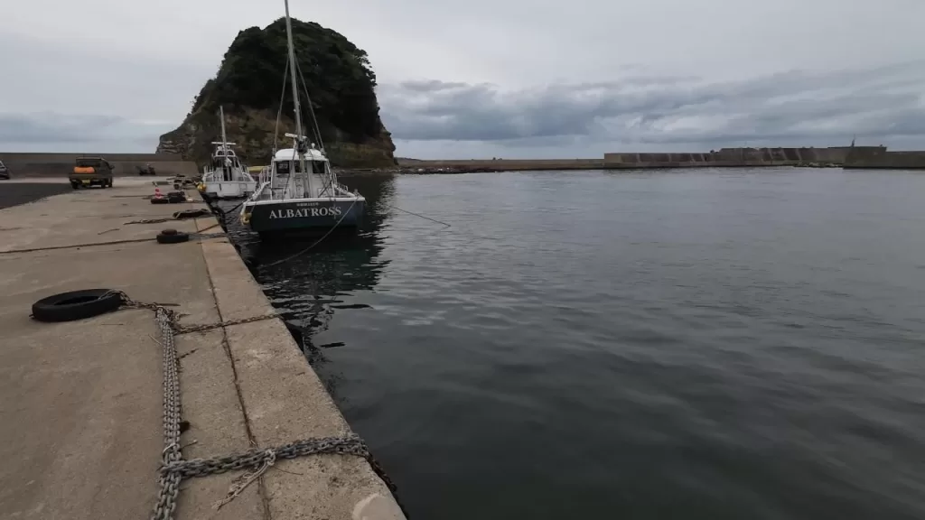 浅茂川漁港大波止のポイント③:漁港から大波止入口方向の画像