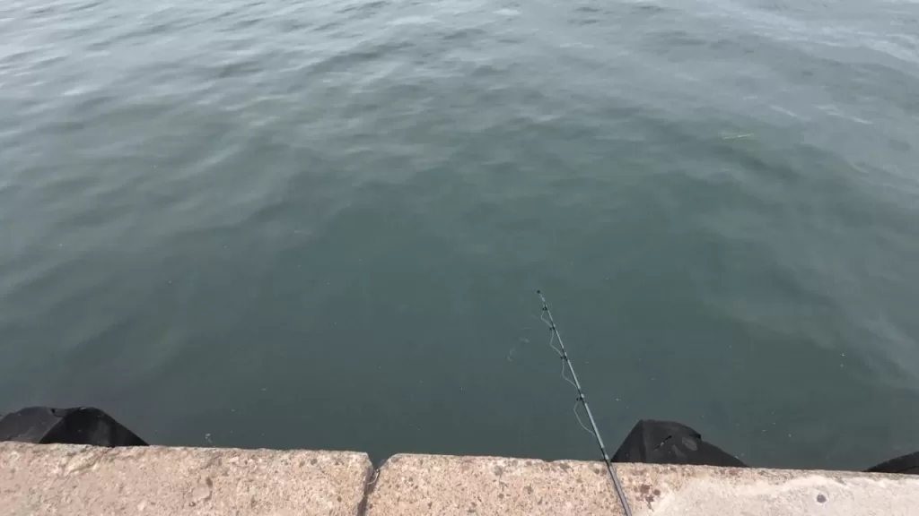 浅茂川漁港大波止のポイント③:漁港の足元の画像