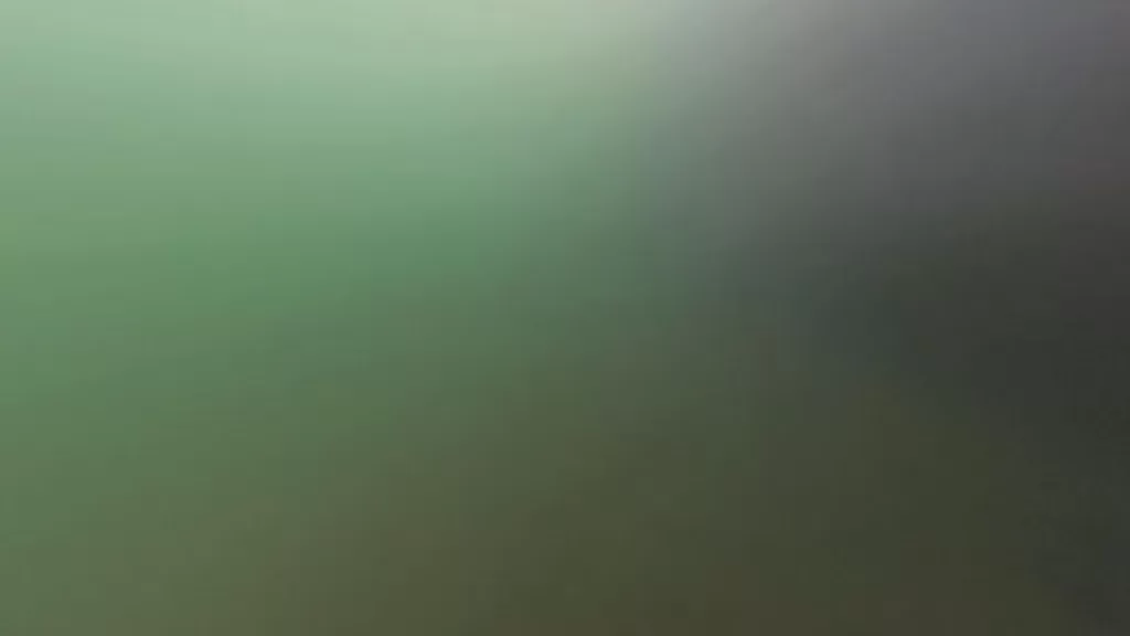 浅茂川漁港大波止のポイント③:水中映像で魚影なし