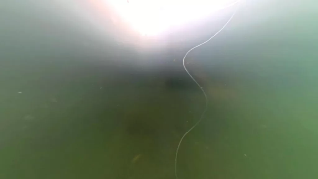 浅茂川漁港の漁協南側の水中映像：魚影なし