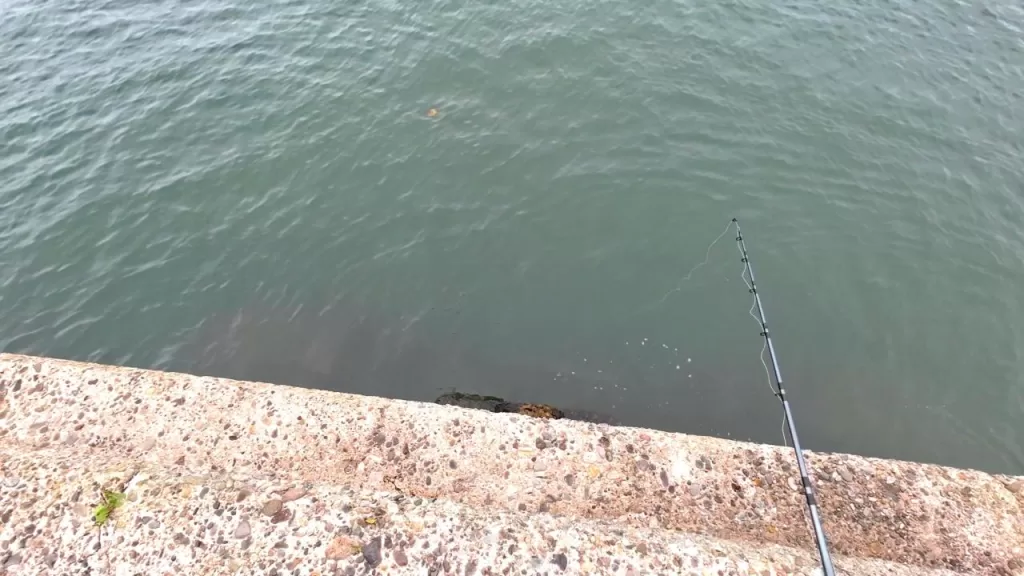 浅茂川漁港の港内小波止の先端の足元