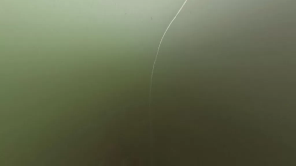 浅茂川漁港の河口の北波止先端南の水中映像